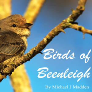 cover image of Birds of Beenleigh
